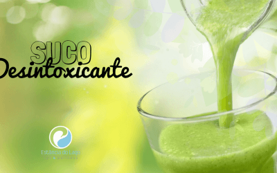 Suco Desintoxicante